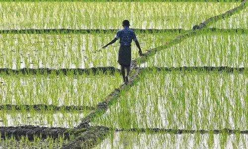 केंद्रीय कृषी कायदे मुळातून रद्द करण्याची नि:संदिग्ध भूमिका घ्या केंद्रीय कृषी कायदे मुळातून रद्द करण्याची नि:संदिग्ध भूमिका घ्या