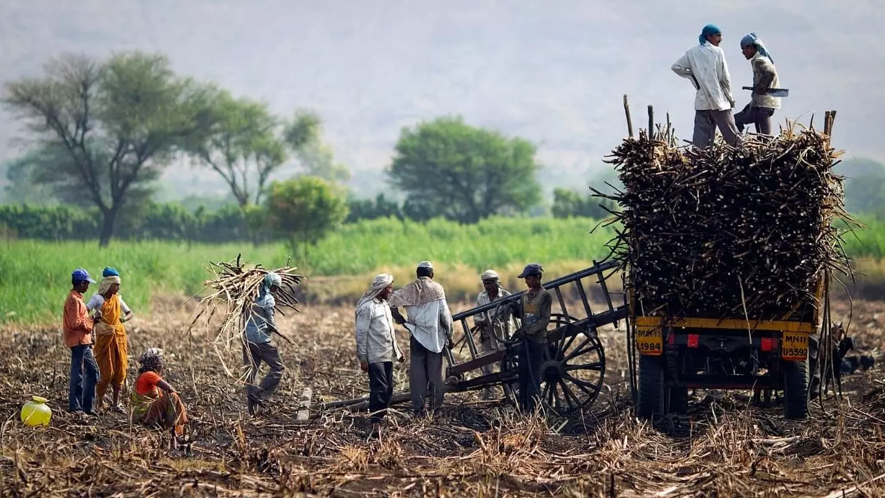 गोपीनाथ मुंडे ऊसतोड कल्याण महामंडळासाठी 20 कोटींची तरतूद, ही तर सुरुवात आहे: धनंजय मुंडे