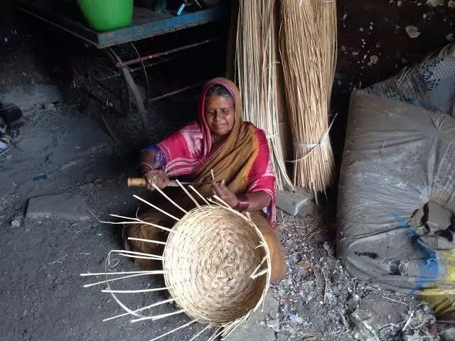 कैकाडी समाजाचा अनुसूचित जातीमध्ये समावेश