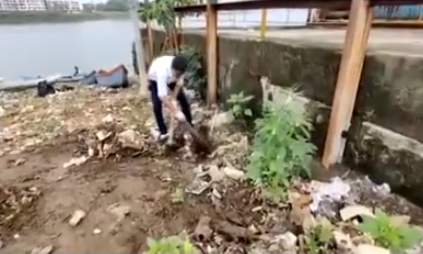 कल्याण खाडीतील प्रदुषणाला जबाबदार कोण? सामाजिक संस्थांचा स्वच्छतेसाठी पुढाकार