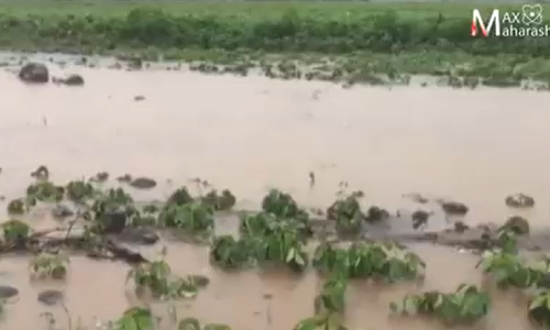 नांदेड जिल्ह्यात ढगफुटीसदृश पाऊस, अनेक एकर शेती उध्वस्त