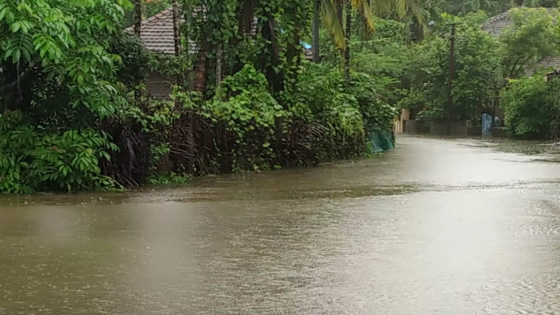 रायगड जिल्ह्यात पुराचे थैमान, दोघांचा मृत्यू, NDRF तैनात