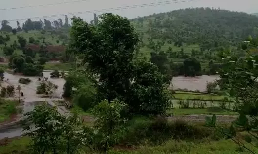 सातारा जिल्ह्यात पावसाने चांगलाच जोर धरला