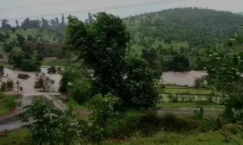 सातारा जिल्ह्यात पावसाने चांगलाच जोर धरला सातारा जिल्ह्यात पावसाने चांगलाच जोर धरला
