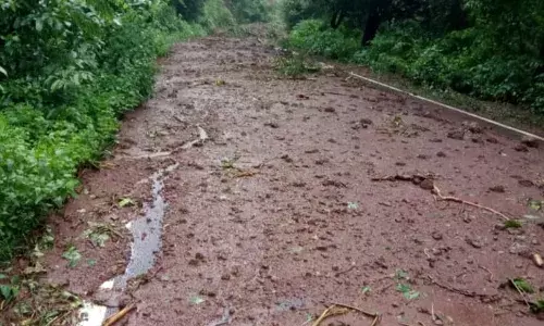 रत्नागिरी-कोल्हापूर आंबा घाट वाहतूक ठप्प