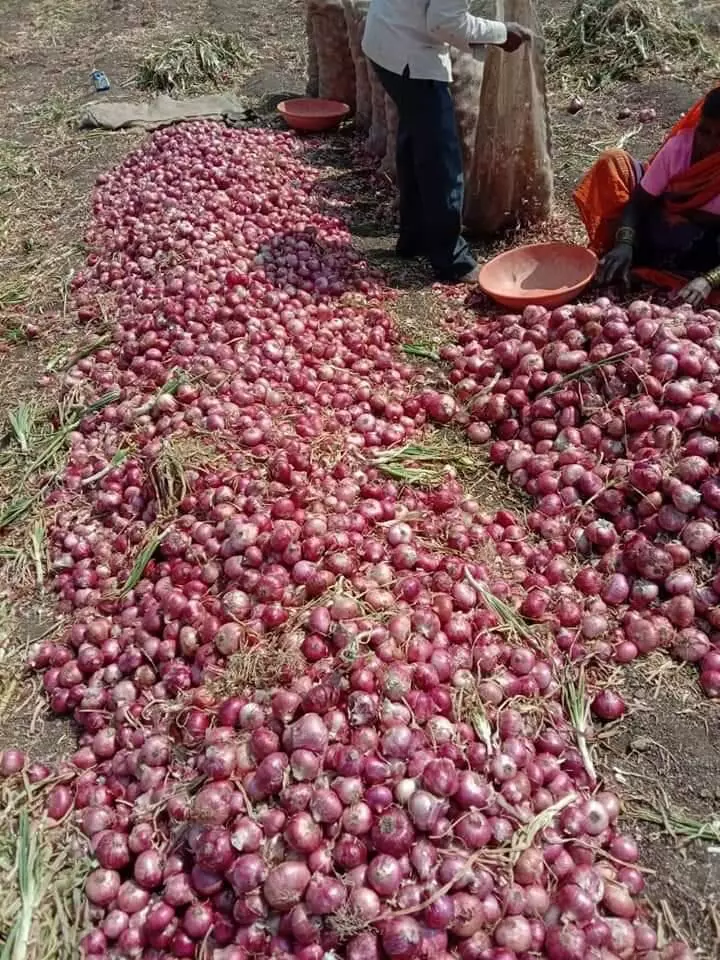 ग्रामीण अर्थव्यवस्था ठप्प : जाणून घ्या खेडेगावातील छोटे व्यापारी आणि शेतकऱ्यांच्या व्यथा