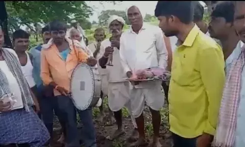एका कोंबड्याची बँड-बाजा लावून अंत्ययात्रा... गावाने दिला अखेरचा निरोप एका कोंबड्याची बँड-बाजा लावून अंत्ययात्रा... गावाने दिला अखेरचा निरोप