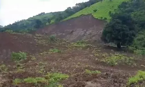 Ground Report : भूस्खलनामुळे आंब्याची बाग उध्वस्त, मदत मात्र नाहीच Ground Report : भूस्खलनामुळे आंब्याची बाग उध्वस्त, मदत मात्र नाहीच