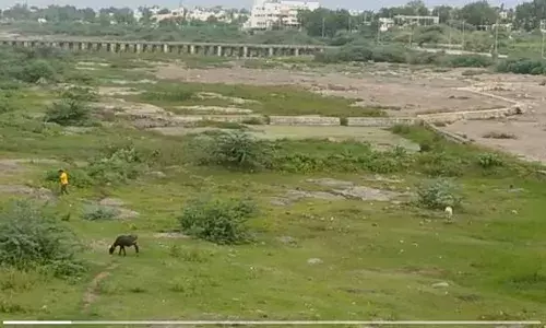 Ground Report : उत्तर महाराष्ट्रावर दुष्काळाचे सावट.... पावसाने फिरवली पाठ Ground Report : उत्तर महाराष्ट्रावर दुष्काळाचे सावट.... पावसाने फिरवली पाठ