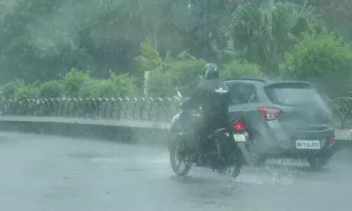 खान्देशात पावसाला सुरवात: शेतकऱ्यांमध्ये आनंद - राज्यातही पावसाला सुरुवात