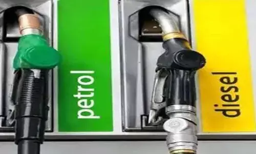 डिझेलच्या किंमतीत काहीशी घसरण, पेट्रोल मात्र जैसे थे
