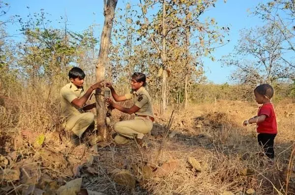 मेळघाट मध्ये बालमृत्यू वाढले का?