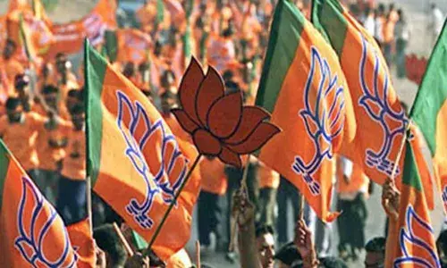 राष्ट्रध्वजावर भाजपचा झेंडा, राष्ट्रवादीची भाजपवर टीका राष्ट्रध्वजावर भाजपचा झेंडा, राष्ट्रवादीची भाजपवर टीका
