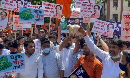 नारायण राणेंविरोधातल्या आंदोलनात कोंबड्या का आणल्या जातात? नारायण राणेंविरोधातल्या आंदोलनात कोंबड्या का आणल्या जातात?