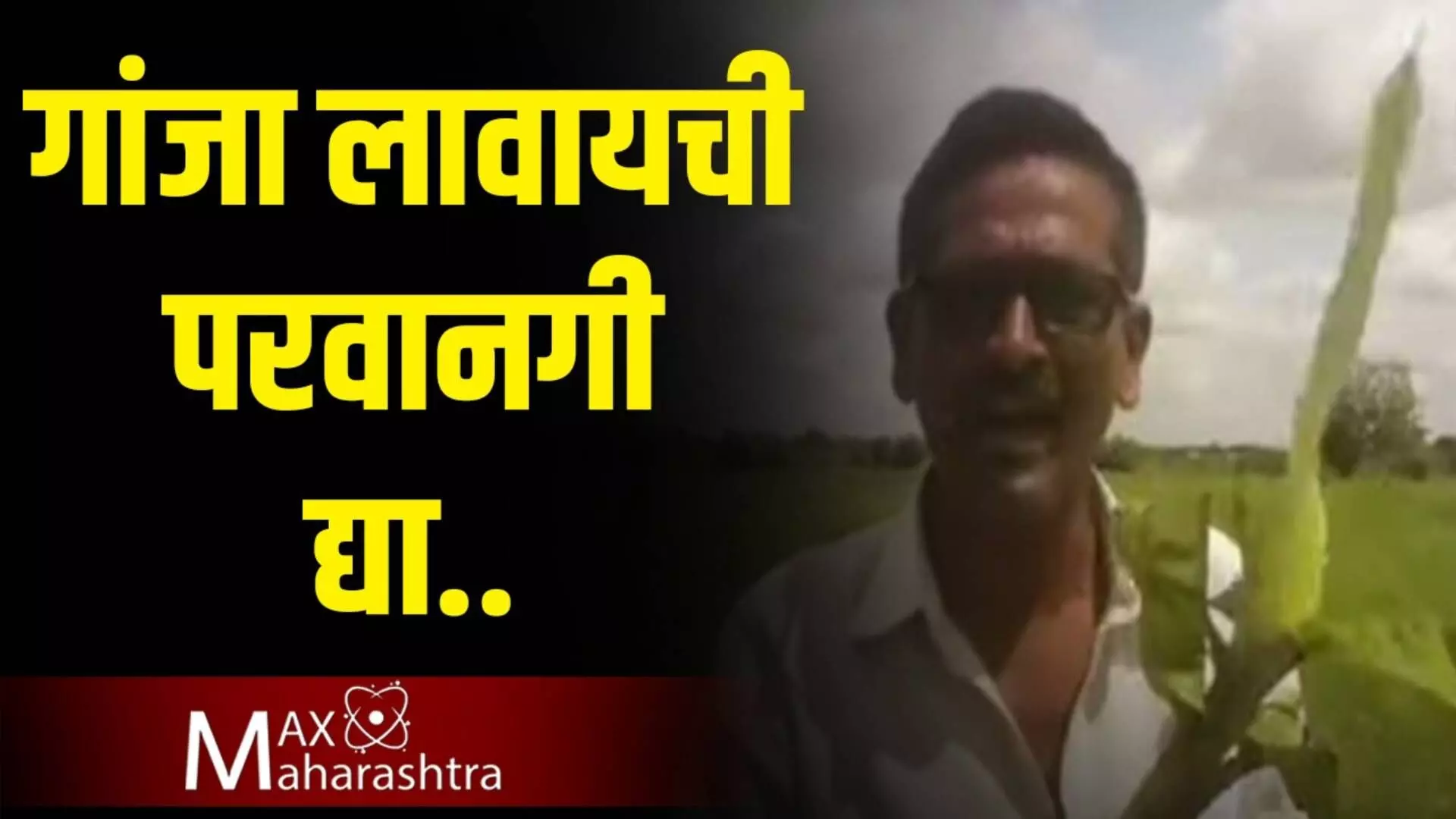 गांजा लावण्याची परवानगी दिली नाही तर १६ सप्टेंबर ला गांजा लावणार, शेतकरी संतापला...