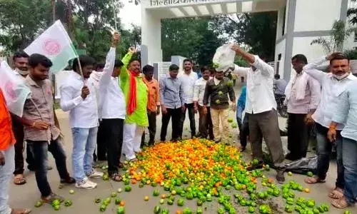 स्वाभिमानीने केला जिल्हाधिकारी कार्यालयासमोर लाल -हिरवा चिखल स्वाभिमानीने केला जिल्हाधिकारी कार्यालयासमोर लाल -हिरवा चिखल