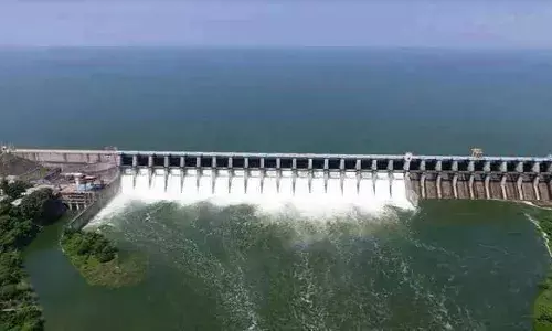 मागच्या वर्षीच्या तुलनेत यंदा जायकवाडीत निम्माच पाणीसाठा