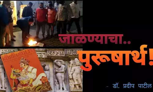 सेक्स कायमचा जाळून टाकता आला असता तर... सेक्स कायमचा जाळून टाकता आला असता तर...