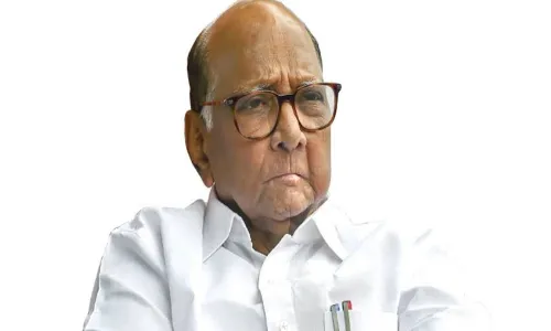 राष्ट्रवादी काँग्रेसच्या बैठकीत आगामी निवडणुकांसंदर्भात महत्वपूर्ण निर्णय राष्ट्रवादी काँग्रेसच्या बैठकीत आगामी निवडणुकांसंदर्भात महत्वपूर्ण निर्णय