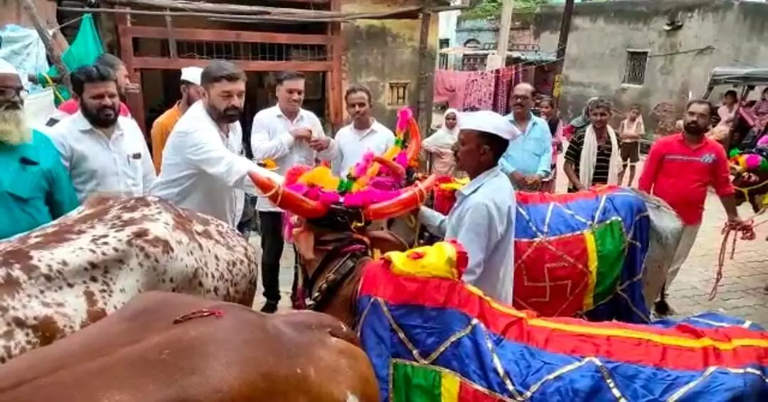 धनगर समाजाच्या वतीने बैल पोळा निमित्त शेतकरी आणि बैलांचा सन्मान