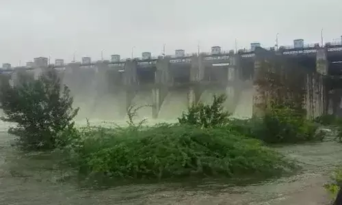 माजलगाव धरण शंभर टक्के भरलं; तब्बल 11 दरवाजे उघडले माजलगाव धरण शंभर टक्के भरलं; तब्बल 11 दरवाजे उघडले