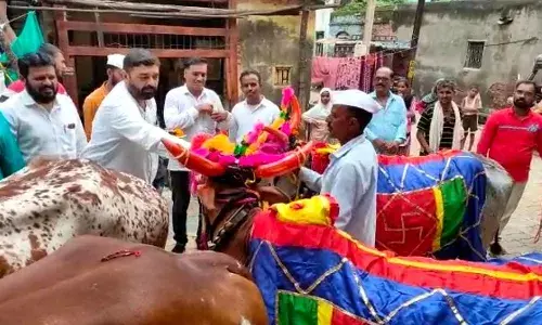 धनगर समाजाच्या वतीने बैल पोळा निमित्त शेतकरी आणि बैलांचा सन्मान