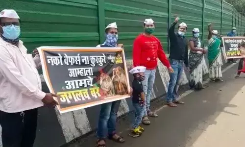 वन्य जीवांच्या संरक्षणासाठी एक महिन्यात उपाययोजना करा वन्य जीवांच्या संरक्षणासाठी एक महिन्यात उपाययोजना करा