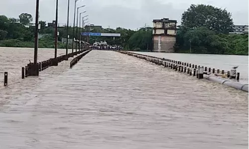 मराठवाड्यात पावसाने हाहा:कार, 12 जणांचा मृत्यू, 694 जनावरं वाहून गेली