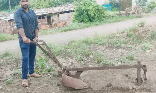 बैल नांगर आणि परंपरा... बैल नांगर आणि परंपरा...