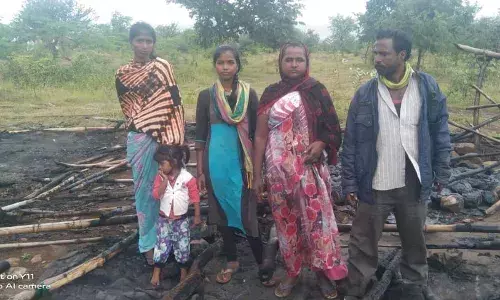 MaxMahrashtra Impact: पारधी कुटुंबाची झोपडी जाळणाऱ्या अज्ञात व्यक्तीविरोधात अखेर गुन्हा दाखल