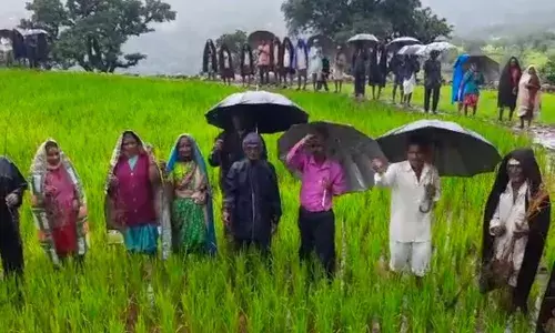 हरिश्चंद्र गड चढत किसान सभेचा मोर्चा; वन विभागाच्या विरोधात जोरदार घोषणाबाजी हरिश्चंद्र गड चढत किसान सभेचा मोर्चा; वन विभागाच्या विरोधात जोरदार घोषणाबाजी