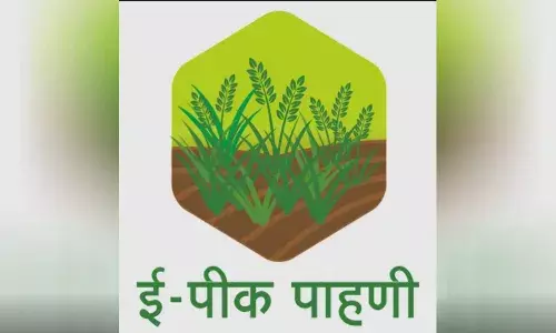 ई पीक पाहणीची मोहीम यशस्वी होईल का? सोमिनाथ घोळवे ई पीक पाहणीची मोहीम यशस्वी होईल का? सोमिनाथ घोळवे
