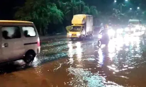 बाप्पाचे विसर्जनात खड्ड्यांचा अडथळा ; गणेश भक्तांनी व्यक्त केली नाराजी