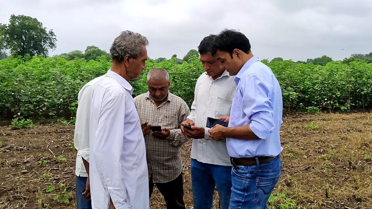 Ground Report :  ई पीक पाहणी खरंच व्यवहार्य आहे का?