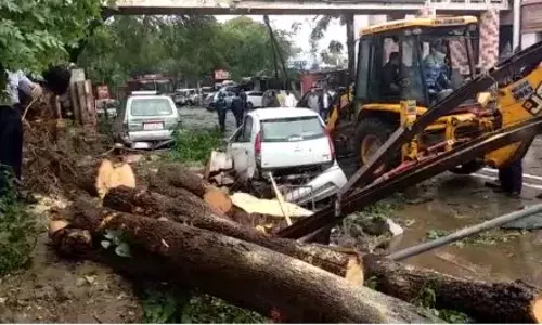 #Gulab: चक्रीवादळाचा फटका मराठवाड्याला, लाखो हेक्टर शेतीचे नुकसान #Gulab: चक्रीवादळाचा फटका मराठवाड्याला, लाखो हेक्टर शेतीचे नुकसान