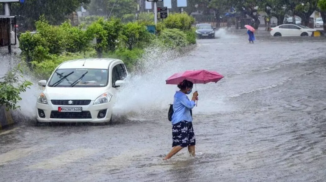 राज्यावर पुन्हा एकदा मुसळधार पावसाचे ढग; पुढील 4 दिवस महत्त्वाचे - IMD