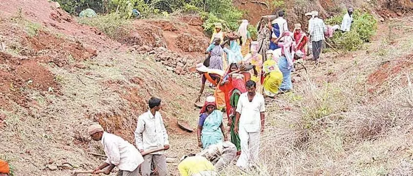 ग्रामीण भागात बेरोजगारीचं प्रमाण वाढण्याची कारण कोणती?