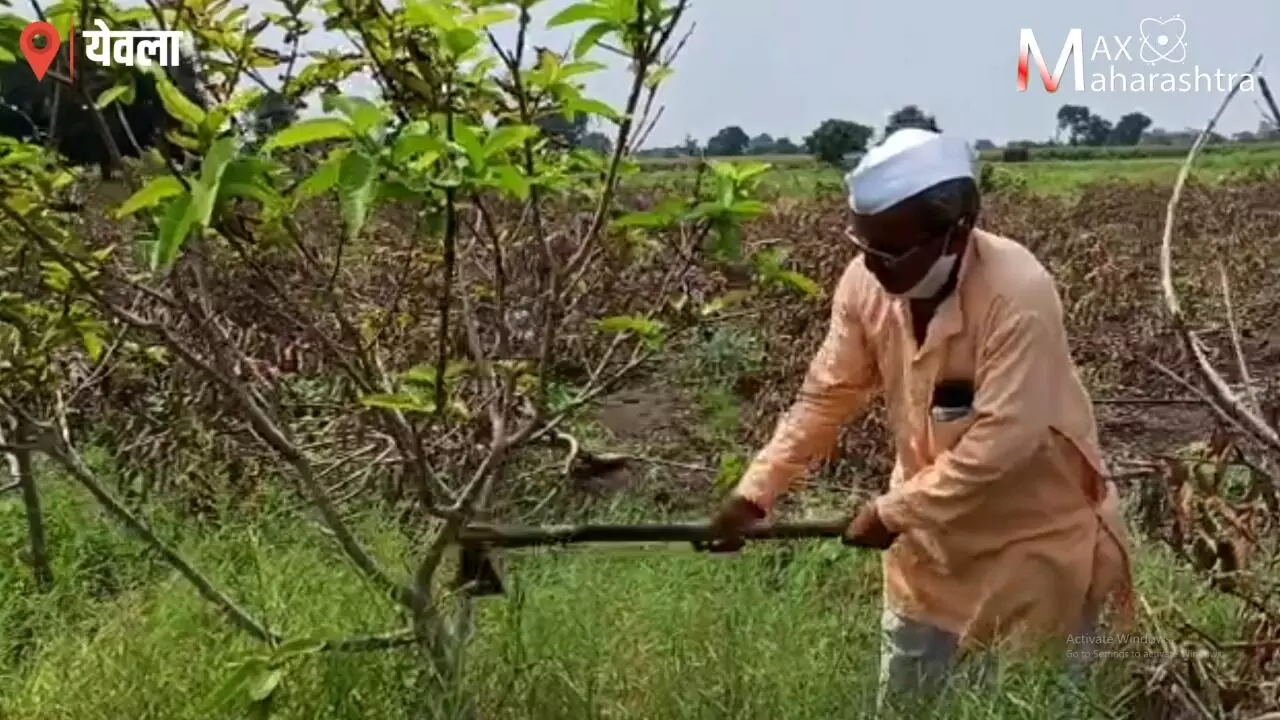 महाराष्ट्रावर नैसर्गिक आपत्तीचं संकट?