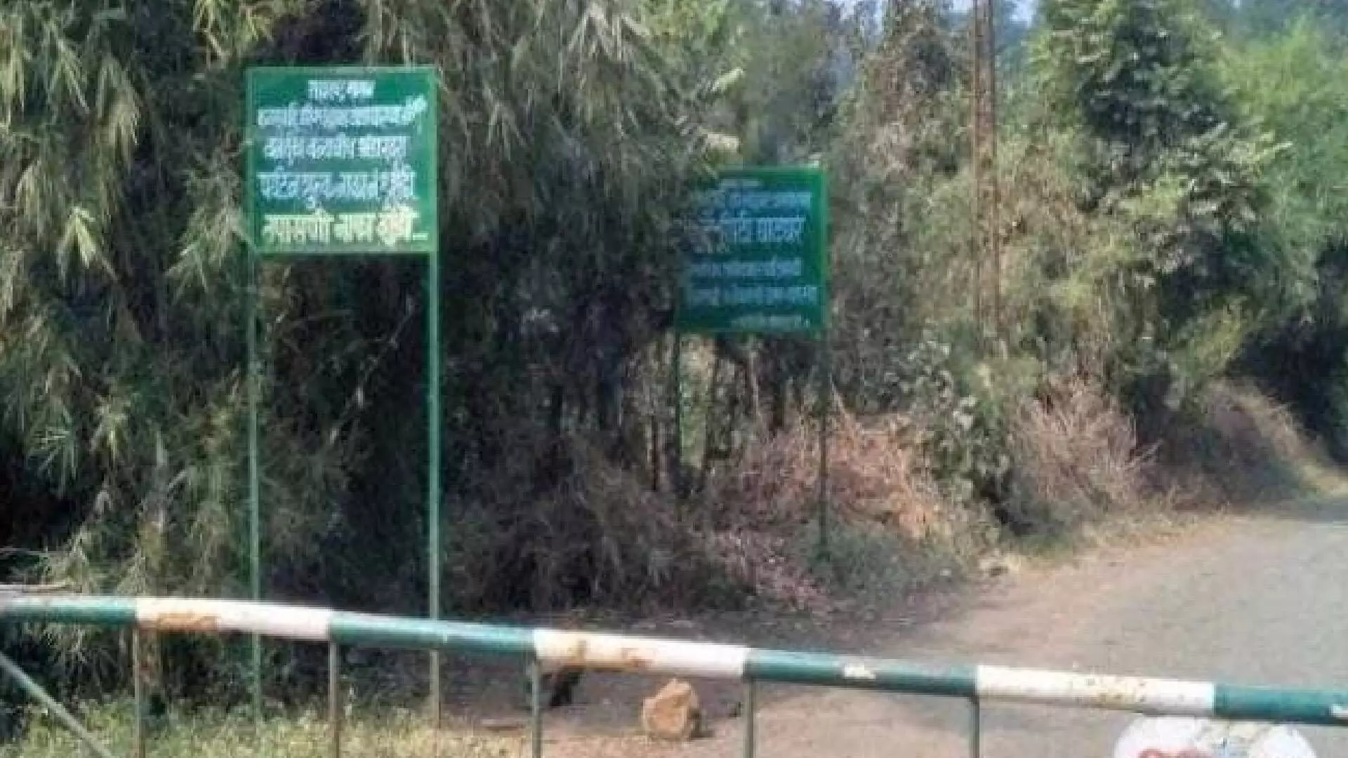 कळसुबाई हरिश्चंद्रगड अभयारण्य क्षेत्रात स्थानिकांचा प्रवेशासाठी संघर्ष