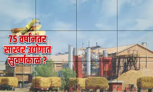 75 वर्षानंतर साखर उद्योगात सुवर्णकाळ का? 75 वर्षानंतर साखर उद्योगात सुवर्णकाळ का?