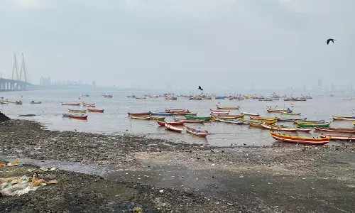 सी. आर. झेड. म्हणजे नक्की काय?