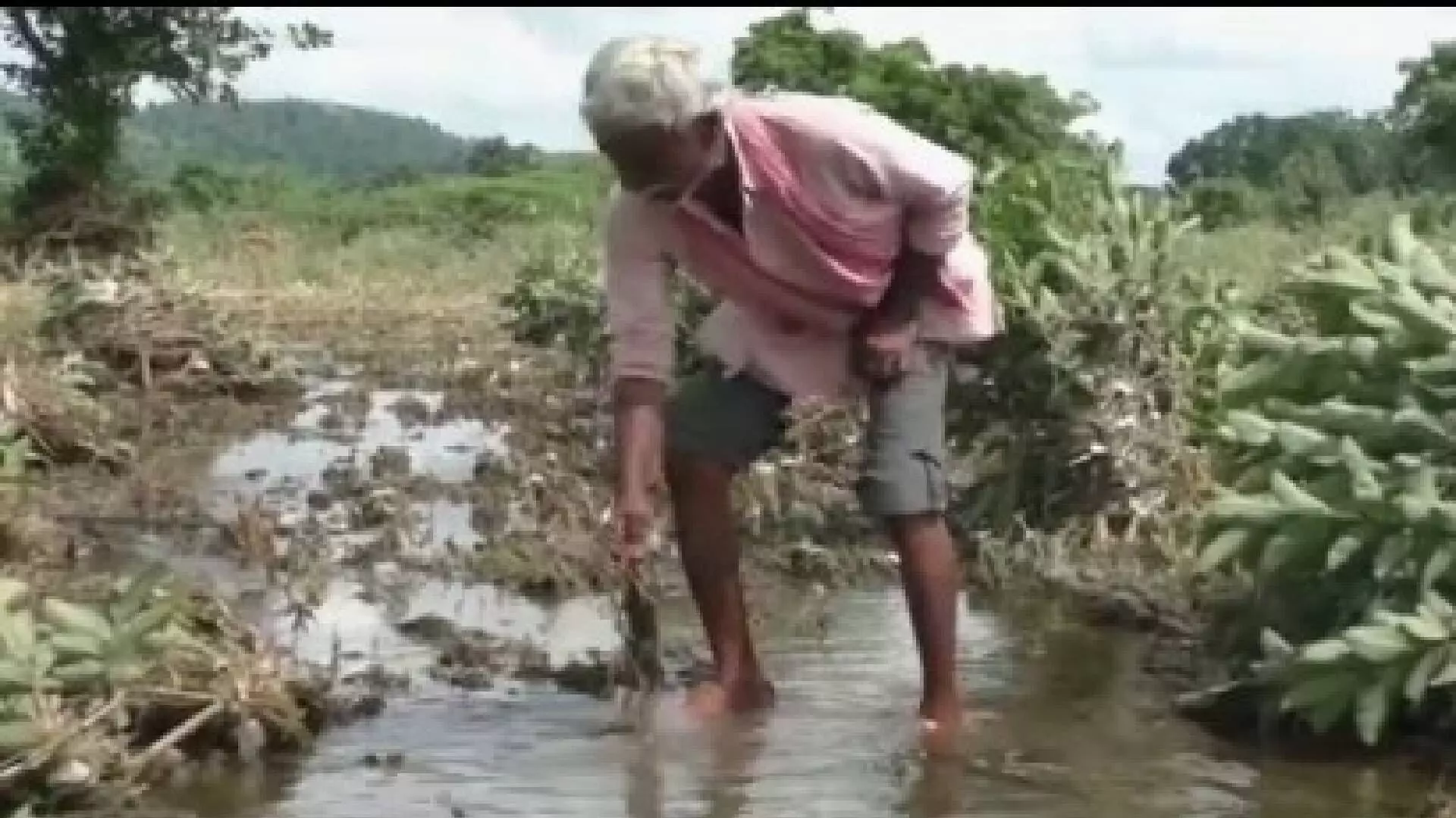 बँका आणि महसूल विभागाचा गोंधळ, दिवाळीत शेतकऱ्यांना मदत मिळण्याची शक्यता कमीच