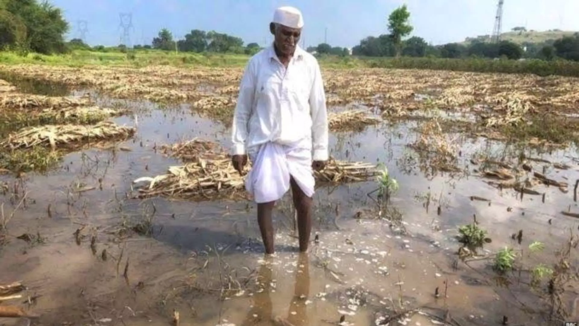 मंत्र्यांच्या मतदारसंघातील शेतकरीच मदतीपासून वंचीत; दिवाळीपूर्वी नुकसानभरपाई नाहीच