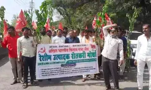 रेशीम उत्पादक शेतकरी अनुदानापासून वंचित ; तुतीचे रोप घेऊन शेतकरी रस्त्यावर