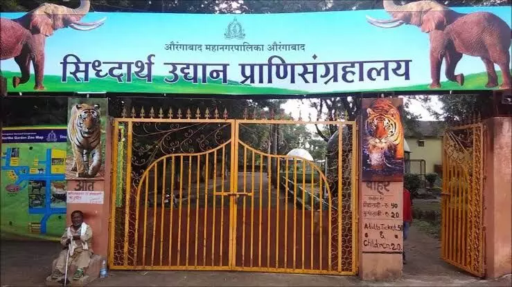 Aurangabad: आजपासून सिध्दार्थ उद्यान पुन्हा उघडणार; मात्र प्रवेशासाठी..... Aurangabad: आजपासून सिध्दार्थ उद्यान पुन्हा उघडणार; मात्र प्रवेशासाठी.....