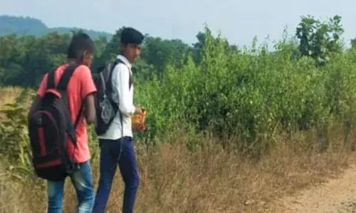 एसटीचा संप विद्यार्थ्यांच्या मुळावर;विद्यार्थ्यांच्या डोक्यावर मृत्यूची टांगती तलवार एसटीचा संप विद्यार्थ्यांच्या मुळावर;विद्यार्थ्यांच्या डोक्यावर मृत्यूची टांगती तलवार