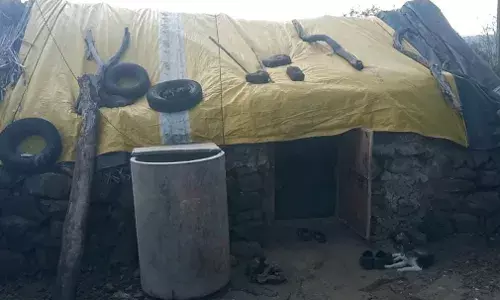 ढोराळे येथील दलितांचे ढोराचं जिण! ढोराळे येथील दलितांचे ढोराचं जिण!