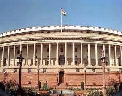 Parliament session: शेतकरी आंदोलनाला पाठिंबा देणाऱ्या NRI चा विमानतळावर छळ करण्यात आला का? खासदाराने विचारलेला प्रश्न सरकारने वगळला