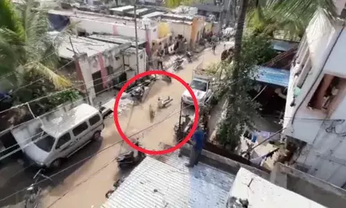 श्रीरामपूर तालुक्यातील मोरगे वस्तीत भरदिवसा बिबट्याचा  धुमाकूळ ; बिबट्याच्या हल्ल्यात 8 जण जखमी