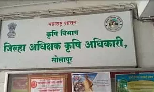 सोलापूर जिल्ह्यात अद्याप नुकसानीचे पंचनामे नाही ; बळीराजा अडचणीत सोलापूर जिल्ह्यात अद्याप नुकसानीचे पंचनामे नाही ; बळीराजा अडचणीत